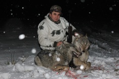 Флажки для охоты на волков